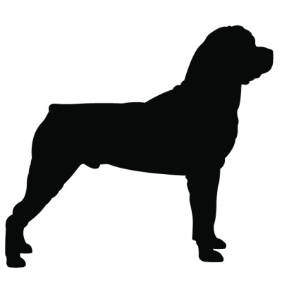 Rossmönster